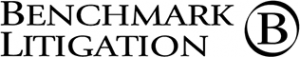 Benchmark Litigation Icon