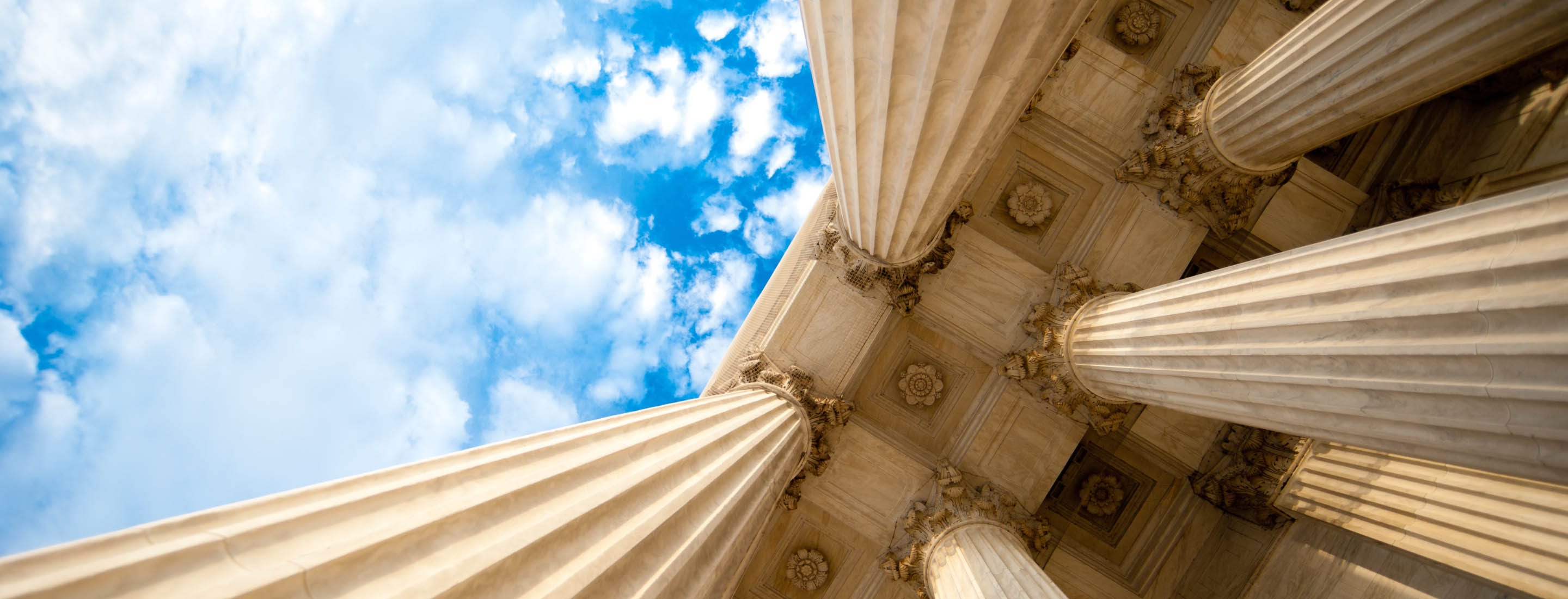 Appellate Banner - columns from a courthouse looking up to cloudy sky