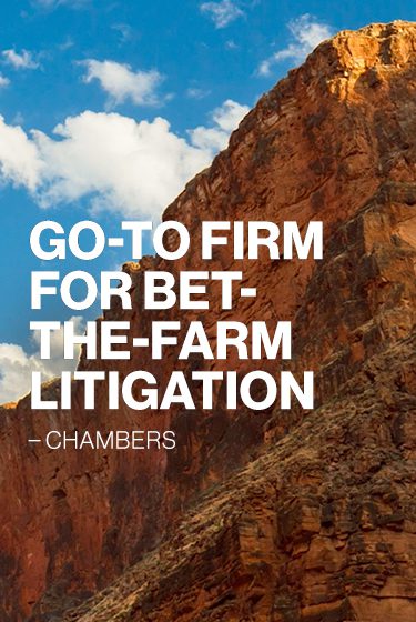 Go-to Firm for Bet-the-farm litigation text overlaid on cliff landscape